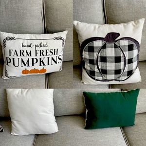 Fall harvest throw pillows modern farm.  Smoke and pet free house